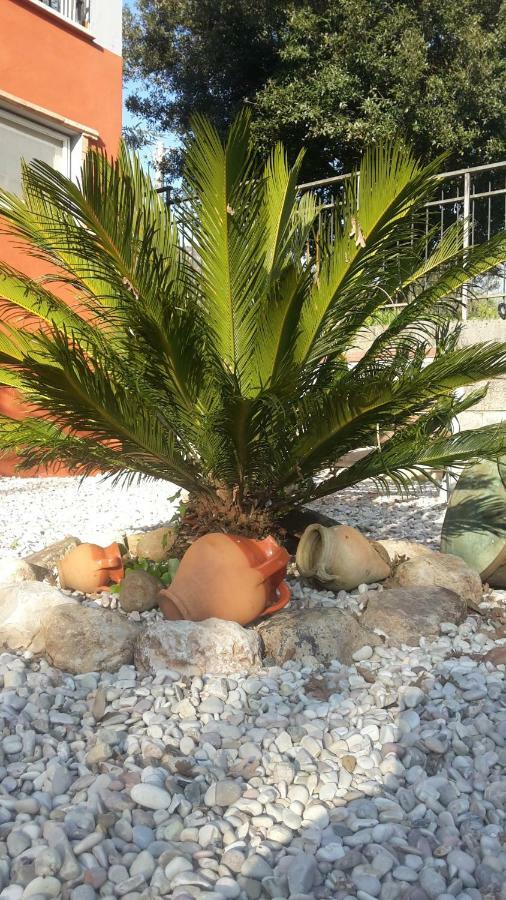 B&B La Mita Giuliano di Roma Kültér fotó