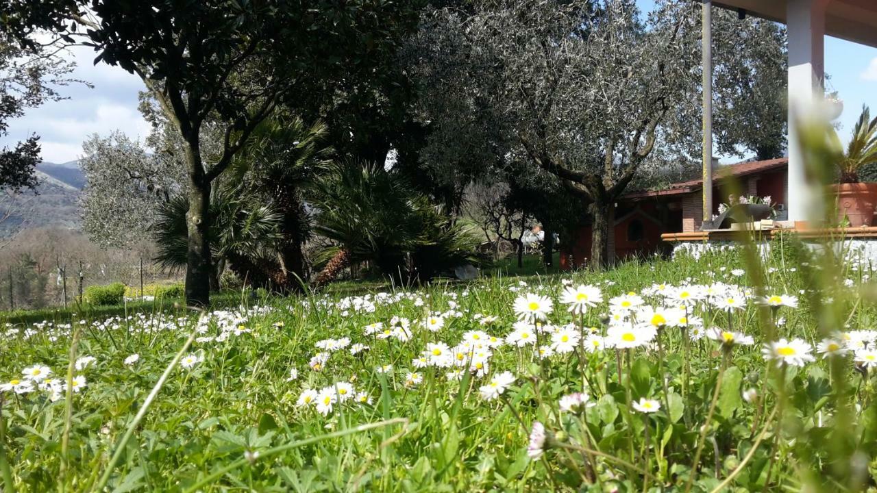 B&B La Mita Giuliano di Roma Kültér fotó
